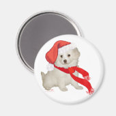 Sinterklankkoppeling / Bichon-mix Magneet (Voorkant / Achterkant)
