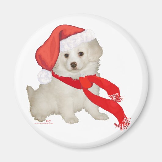 Sinterklankkoppeling / Bichon-mix Magneet (Voorkant)