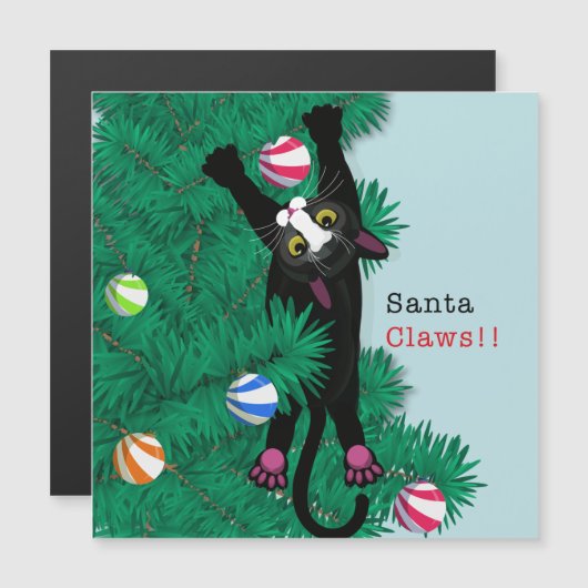 Sinterkletsen! Kat kerstkaartje grappig (Voorkant / Achterkant)