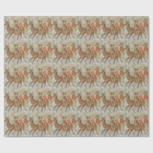  Sinterkletskruid Cadeaupapier (Vlak)