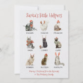 Sinterkletters met kleine helpers Cat Reindeer Feestdagenkaart (Voorkant)