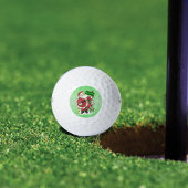 Sinterklusjes voor gezelschapsdieren kerst golfballen