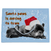 Sinterpeuterspits Groot Cadeauzakje (Voorkant)