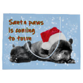 Sinterpeuterspits Groot Cadeauzakje (Achterkant)