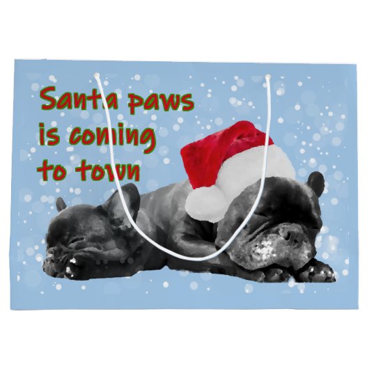 Sinterpeuterspits Groot Cadeauzakje (Achterkant)