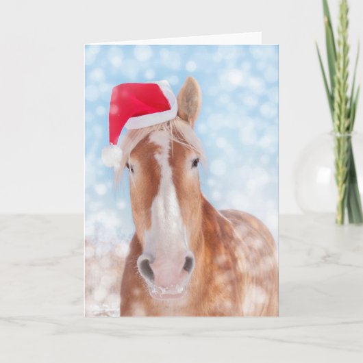 Sinters grootste Helper Feestdagen Kaart (Voorkant)