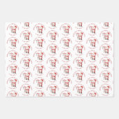 Sinterstampen voor de speciale bezorging op de Noo Inpakpapier Vel (Voorkant)