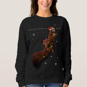 Sintervalkerij met kerstlampjes Funny Xmas Sq Trui