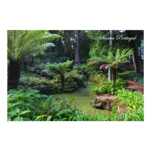 Sintra Portugal Foto Afdruk (Voorkant)