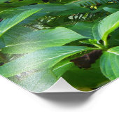 Sintra Portugal Foto Afdruk (Hoek)