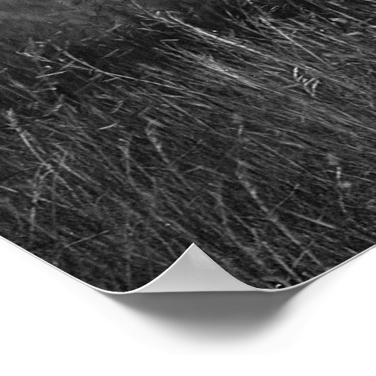 Sioux Chiefs: 1905 Poster (Hoek)