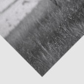 Sioux Chiefs, 1905 Tissuepapier (Detail)