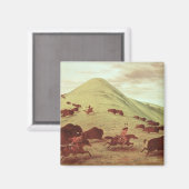 Sioux Indians jagend op buffel, 1835 (olie op doek Magneet (Voorkant / Achterkant)