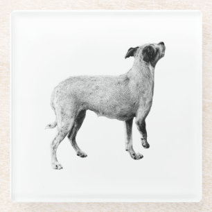 Sip-pauze: omhoog kijken glazen onderzetter