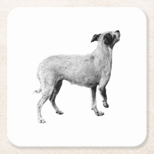 Sip-pauze: omhoog kijken kartonnen onderzetters