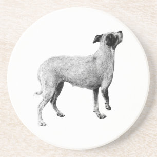 Sip-pauze: omhoog kijken zandsteen onderzetter