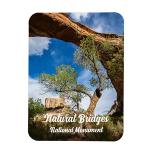 Sipapu Bridge, Natural Bridges National Monument Magneet
