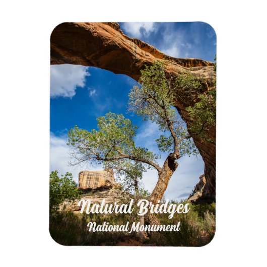 Sipapu Bridge, Natural Bridges National Monument Magneet (Verticaal)