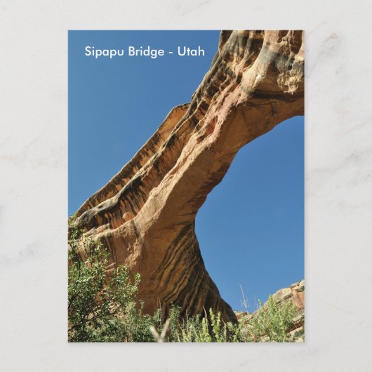 Sipapu Bridge - Natuurlijke bruggen Nationaal Monu Briefkaart (Voorkant)
