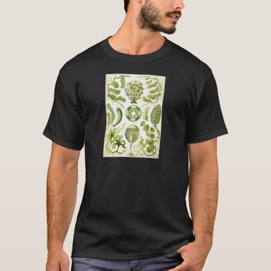 Siphoneae Seaweed en Algae van Ernst Haeckel T-shirt (Voorkant)