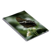 Siproeta-Notitieboek Notitieboek (Rechterzijde)