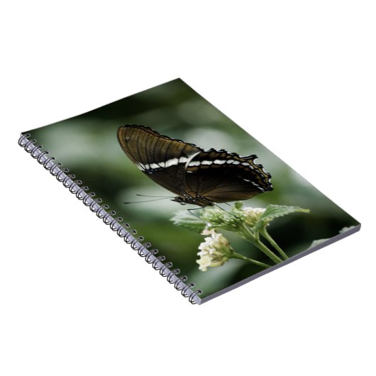 Siproeta-Notitieboek Notitieboek (Rechterzijde)