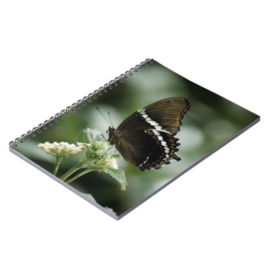 Siproeta-Notitieboek Notitieboek (Linkerzijde)