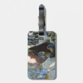 *Sips by the Stream: Otters Drink van de rivier Bagagelabel (Achterkant verticaal)