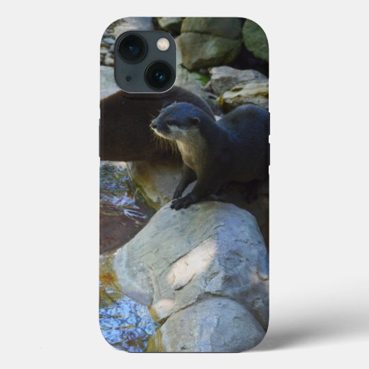 *Sips by the Stream: Otters Drink van de rivier Case-Mate iPhone Case (Achterkant)