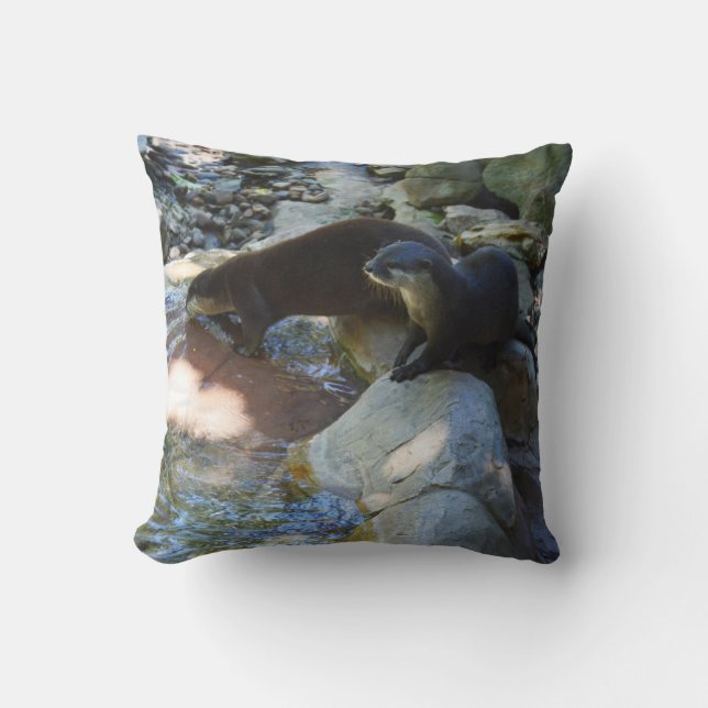 *Sips by the Stream: Otters Drink van de rivier Kussen (Voorkant)