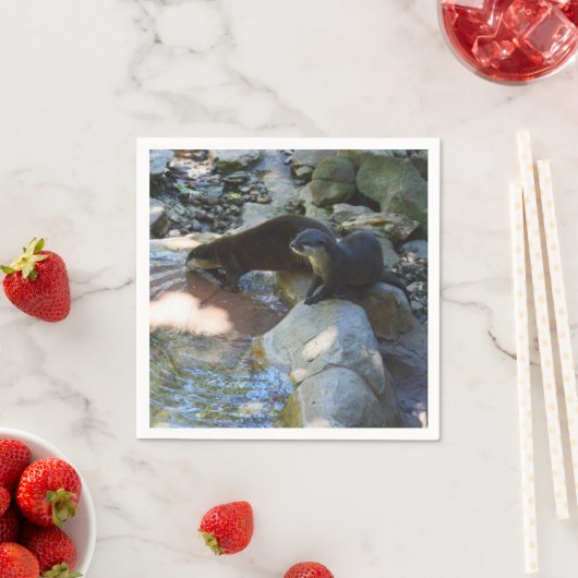 *Sips by the Stream: Otters Drink van de rivier Servet (Insitu)