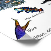 Siquijor Underwater World Poster (Hoek)