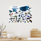 Siquijor Underwater World Poster (Keuken)