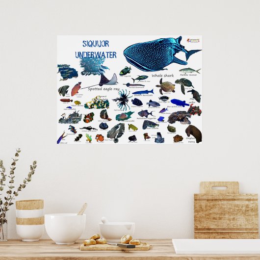 Siquijor Underwater World Poster (Keuken)