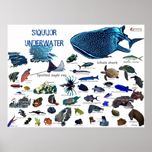 Siquijor Underwater World Poster (Voorkant)