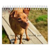 Sir Bardsley Wall Calendar 2020 Kalender (Hoes)