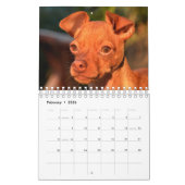 Sir Bardsley Wall Calendar 2020 Kalender (Feb 2026)