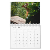 Sir Bardsley Wall Calendar 2020 Kalender (Jan 2026)