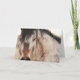 Sir Behr Blank Kaart