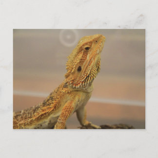 Sir Charles Posing Briefkaart