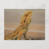 Sir Charles Posing Briefkaart (Voorkant)