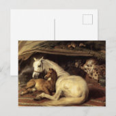 Sir Edwin Henry Landseer | Arabische tenten Briefkaart (Voorkant / Achterkant)
