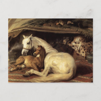 Sir Edwin Henry Landseer | Arabische tenten Briefkaart