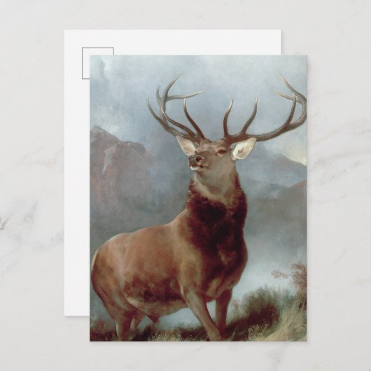 Sir Edwin Landseer | Monarch van de Glen, 1851 Briefkaart (Voorkant / Achterkant)
