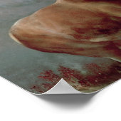 Sir Edwin Landseer | Monarch van de Glen, 1851 Poster (Hoek)