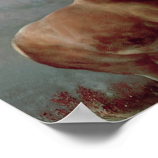 Sir Edwin Landseer | Monarch van de Glen, 1851 Poster (Hoek)