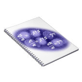 SIR Epidemiologie Notitieboek (Rechterzijde)