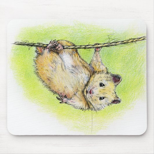 Sir Ham Muismat (Voorkant)