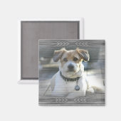 Sir Henry Magneet (Voorkant / Achterkant)