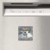 Sir Henry Magneet (Insitu (Vaatwasser))